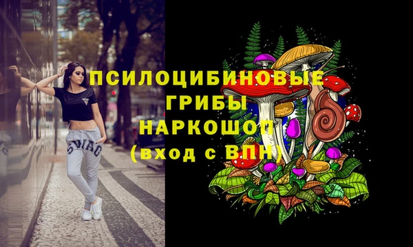 дживик Белоозёрский