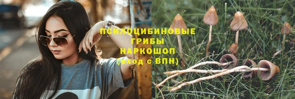 скорость Богданович